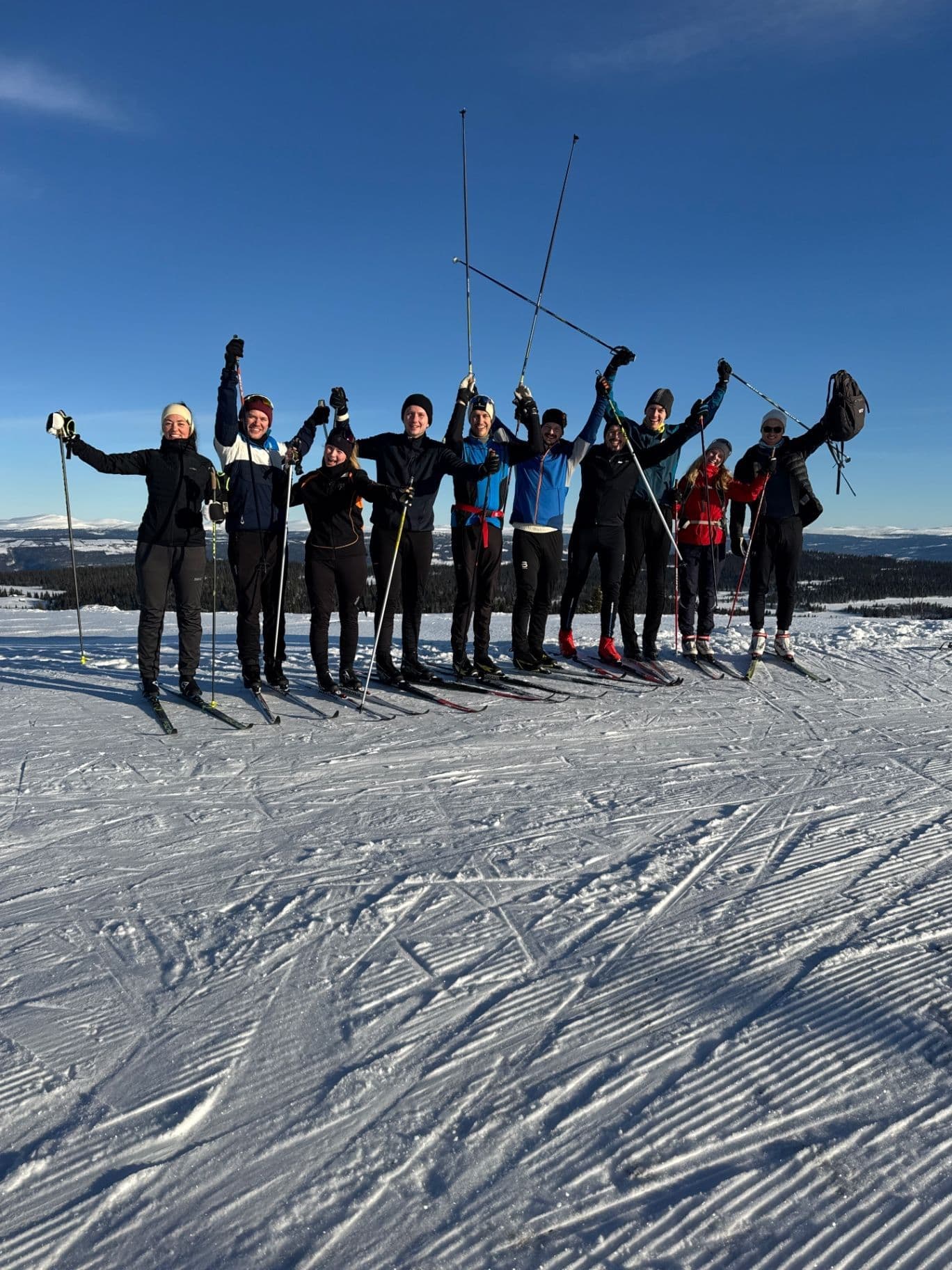 image for Elisabeth Karud