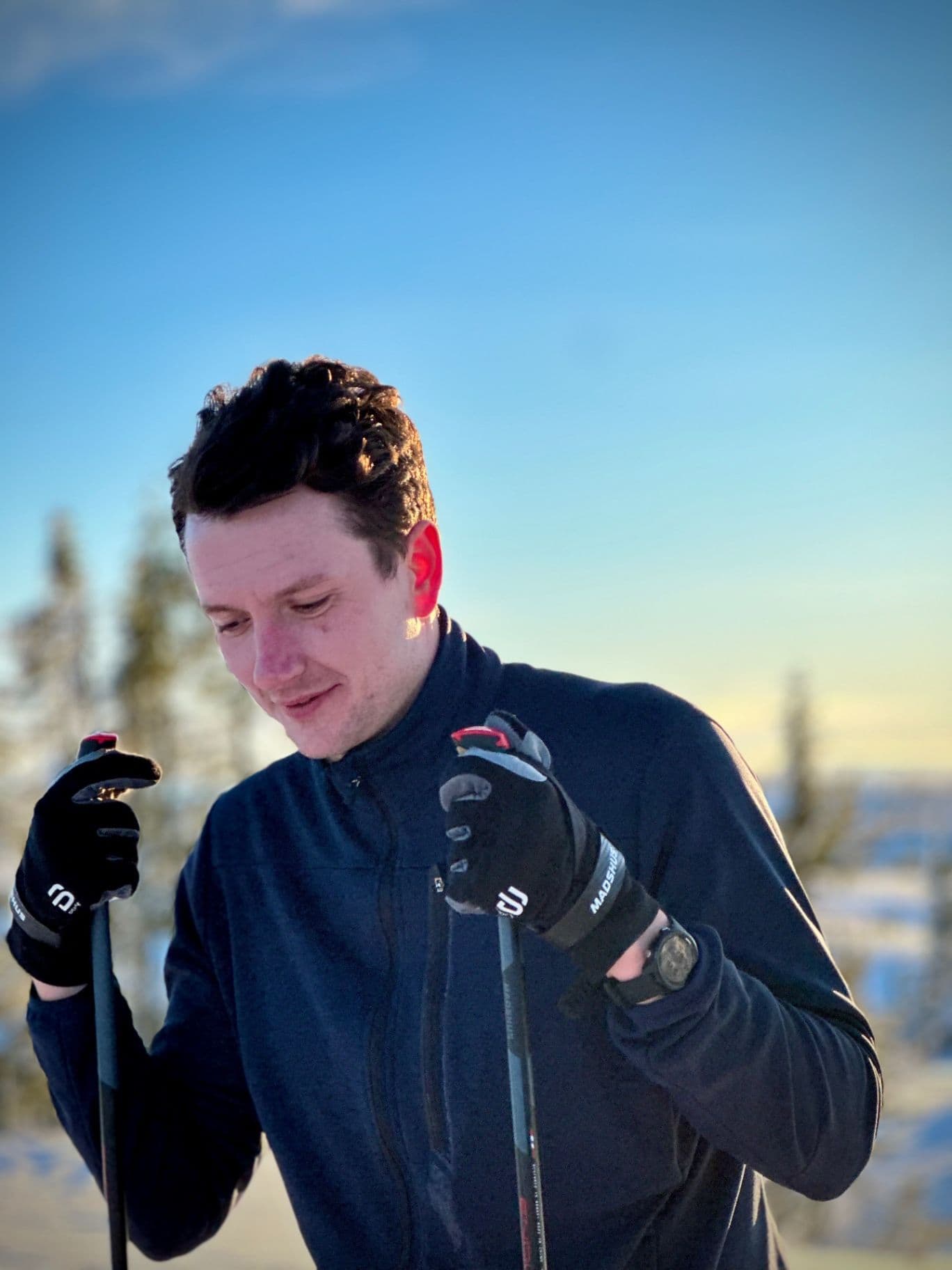 image for Arvid Mildner